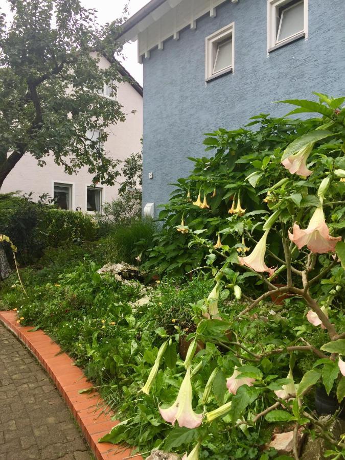Blaues Haus Διαμέρισμα Niederdorfelden Εξωτερικό φωτογραφία