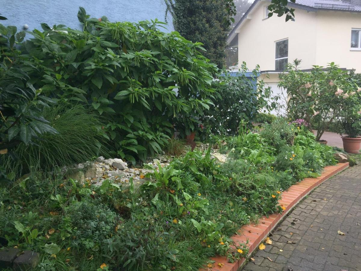 Blaues Haus Διαμέρισμα Niederdorfelden Εξωτερικό φωτογραφία