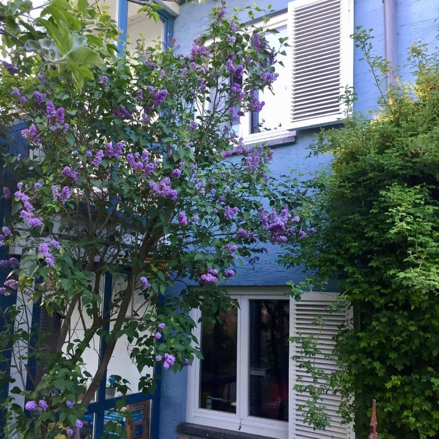 Blaues Haus Διαμέρισμα Niederdorfelden Εξωτερικό φωτογραφία