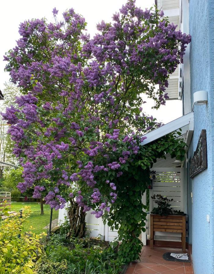 Blaues Haus Διαμέρισμα Niederdorfelden Εξωτερικό φωτογραφία